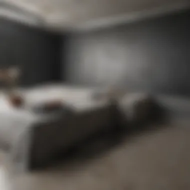 Transformation After Professional Mold Remediation Before and after mold removal