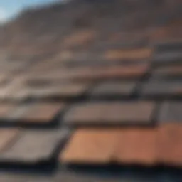 Close-up of a damaged roof shingle