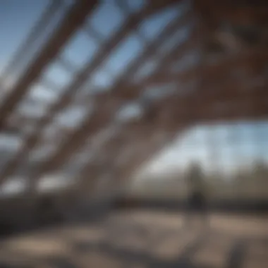 Thorough Inspection of Roof Structure Inspection of roof structure