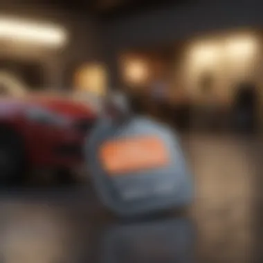 A strategic guide for consumers on using insurance tags
