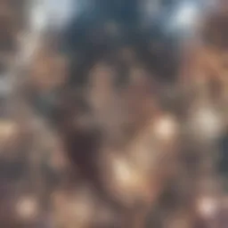 Elegant lace cover that complements a bridesmaid dress