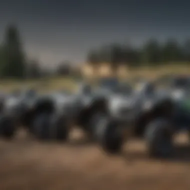 Comparative Analysis of Utility Models A diverse range of utility ATVs lined up for comparison