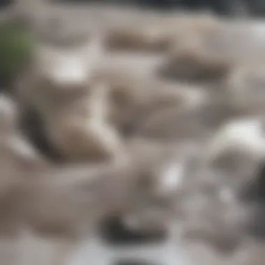 Close-up view of oil-stained cement surface before treatment