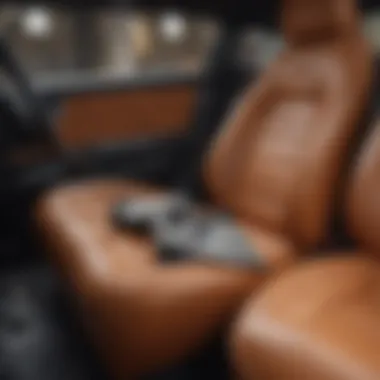 Caring for leather interiors with cleaning products laid out