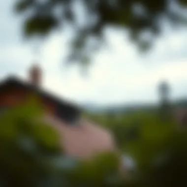 Understanding Insurance Policies and Roof Age A visual representation of insurance policy details related to roof age