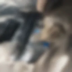 Overview of auto insurance types