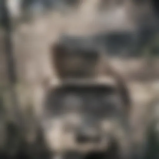 An old vehicle surrounded by nature