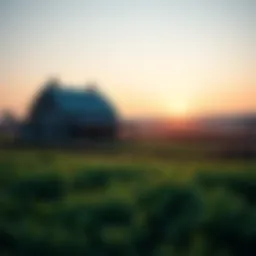 A serene rural landscape depicting a farmhouse surrounded by fields