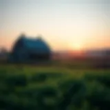 Rural Farmhouse Landscape A serene rural landscape depicting a farmhouse surrounded by fields