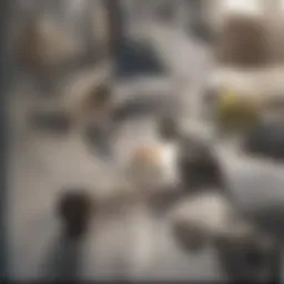 Document with legal terms and clauses