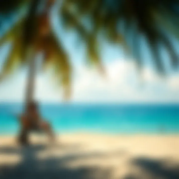 Factors Influencing Travel Insurance Premiums Factors influencing travel insurance premiums