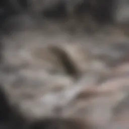 Visual representation of mortgage refinancing concept