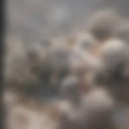 Historical overview of Michigan's Auto No-Fault Reform.