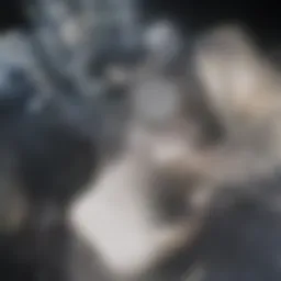 Overview of condo insurance documents and policy details