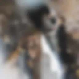 Protecting personal belongings in a rented home