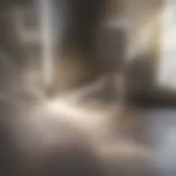 Visual representation of slab leaks in a home foundation