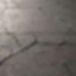 Cracked concrete slab showing various types of cracks