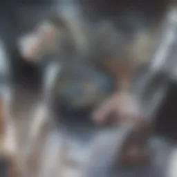 Analysis of enterprise debit card policies