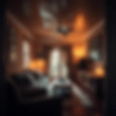 Interior Assessment for Insurance Assessment of a home's interior features and safety measures.