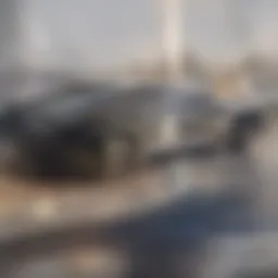 New driver analyzing car insurance quotes