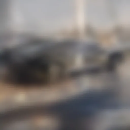 New driver analyzing car insurance quotes
