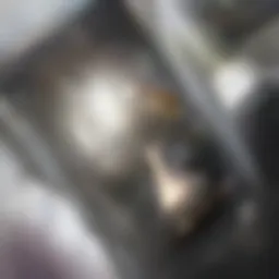 Visual representation of renters insurance coverage