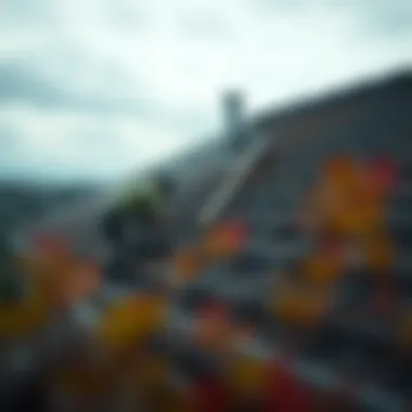 Roof Maintenance Essentials A maintenance checklist for roof upkeep