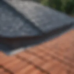 A well-maintained roof showcasing quality materials