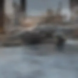 Economic indicators influencing refinancing decisions