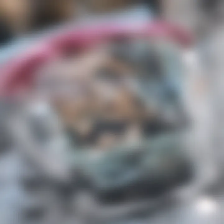 Implications of uninsured motorists